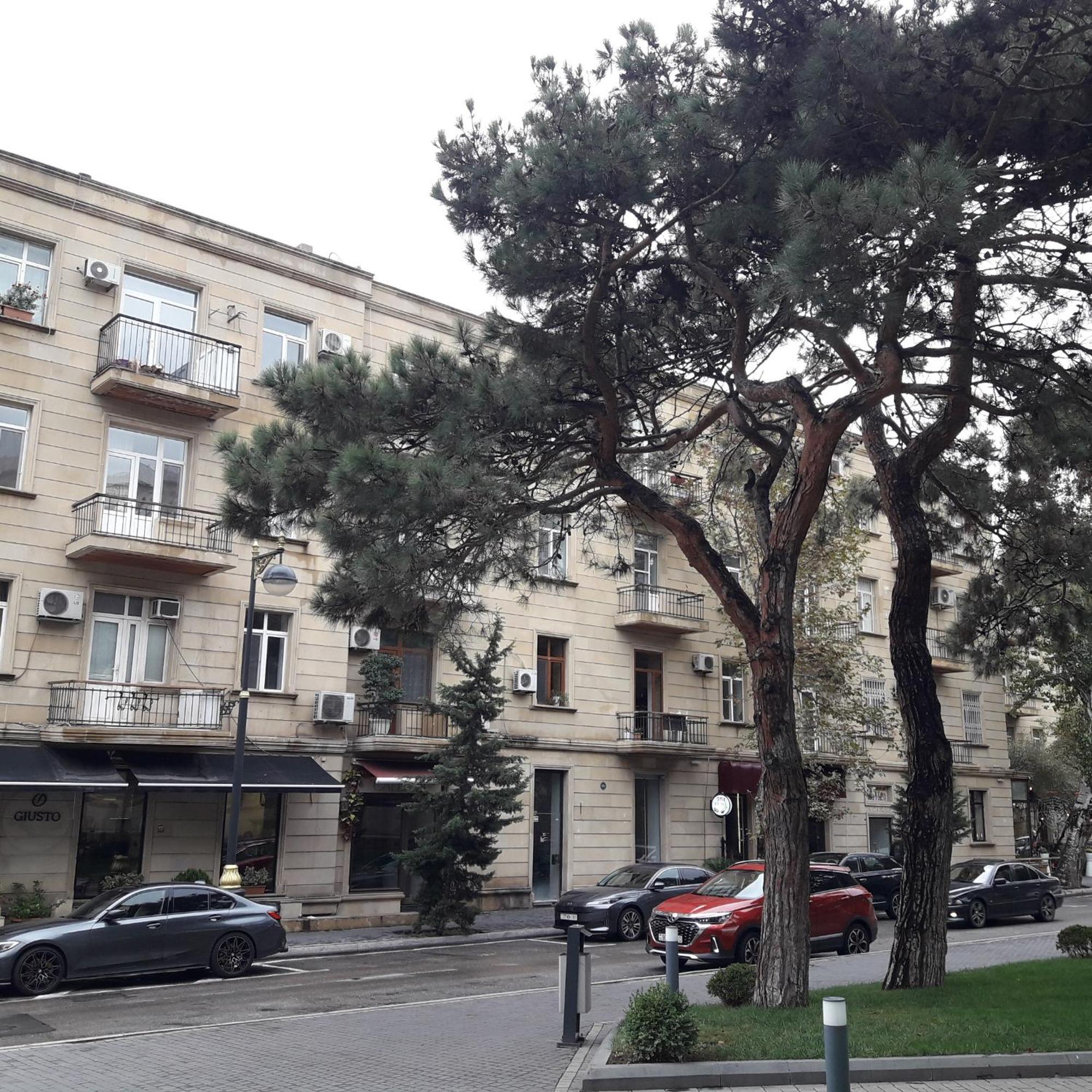 Apartment Niyazi 5 Bakoe Buitenkant foto